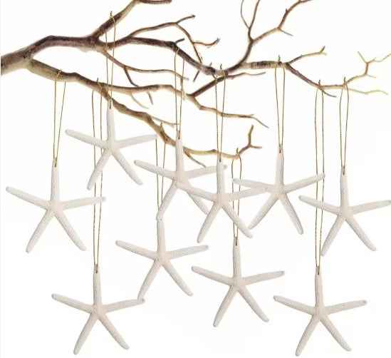 20 PCS Christmas Starfish Hanging Ornaments - 3-4'' Natural Starfish with Rope - DropOnline.co
