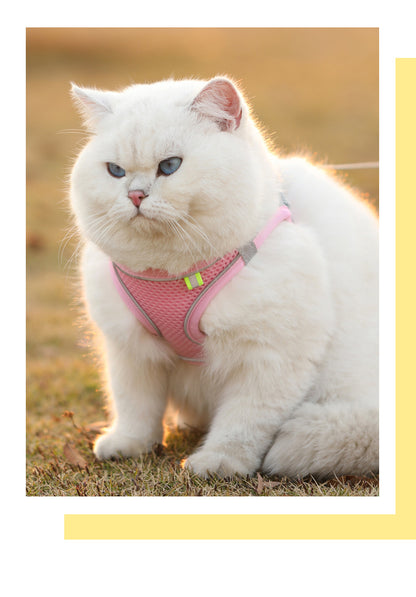 Reflective Breathable Harness Vest for Small & Medium Pets