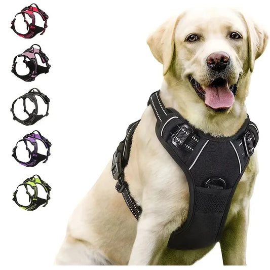 Ensemble collier, harnais et laisse pour chien — Accessoires en cuir pour chiots et chiens de petite, moyenne et grande taille