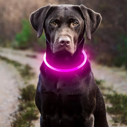 USB Rechargeable LED Light-Up Dog Collar