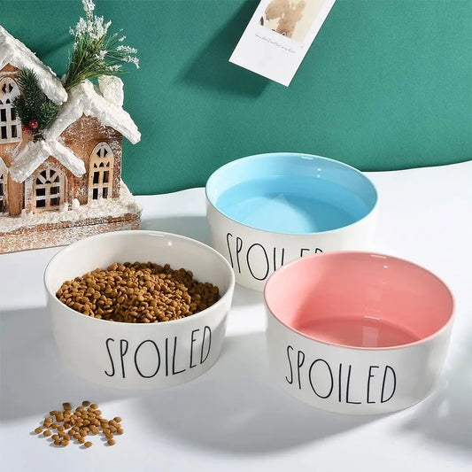 Jolie gamelle en céramique antidérapante pour chiens et chats