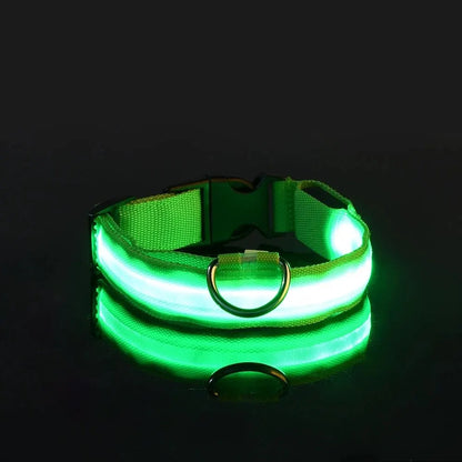LED Flashing Glow-in-the-Dark Nylon Dog Leash