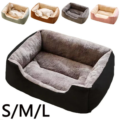 Cushioned Basket Bed for Cats & Small Dogs