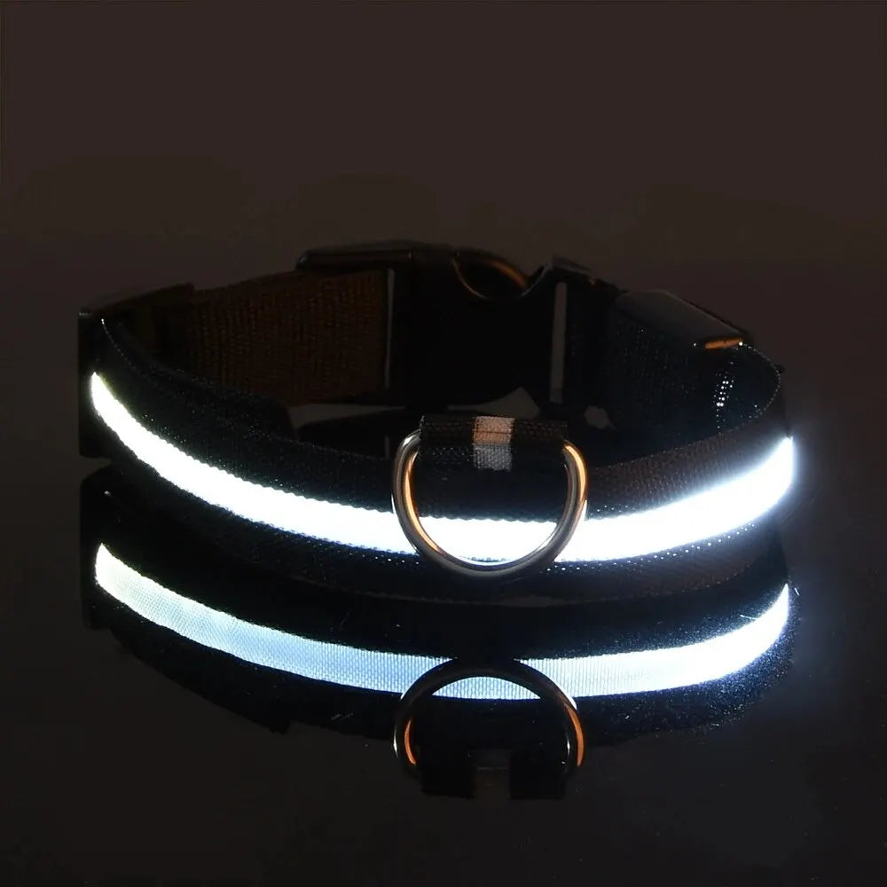 LED Flashing Glow-in-the-Dark Nylon Dog Leash