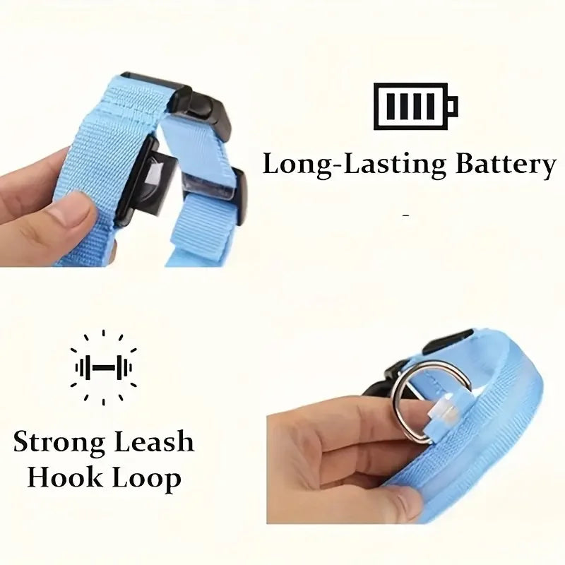 LED Flashing Glow-in-the-Dark Nylon Dog Leash