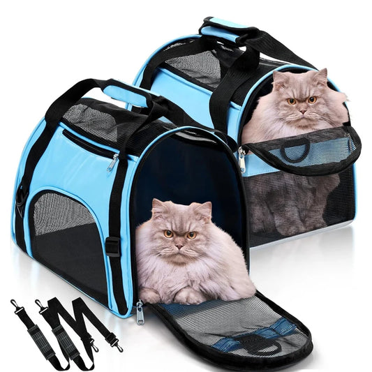 Foldable Mesh Pet Carrier Bag