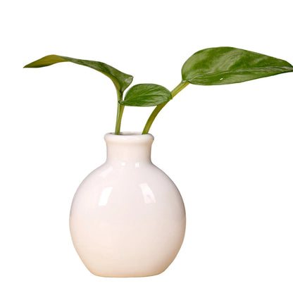 Mini Ceramic Bud Vase — Small Decorative Flower Vase for Home, Desk & Bathroom Decor