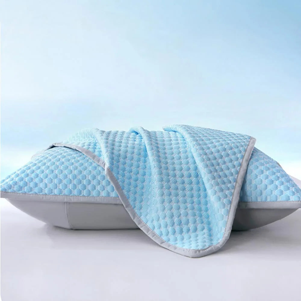 Pillow Protector Cover with Protective Lining