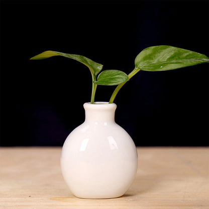 Mini Ceramic Bud Vase — Small Decorative Flower Vase for Home, Desk & Bathroom Decor