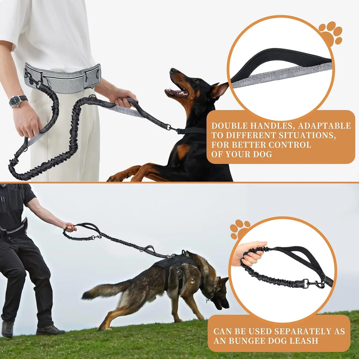 Hands-Free Running Dog Leash, Shock-Absorbing