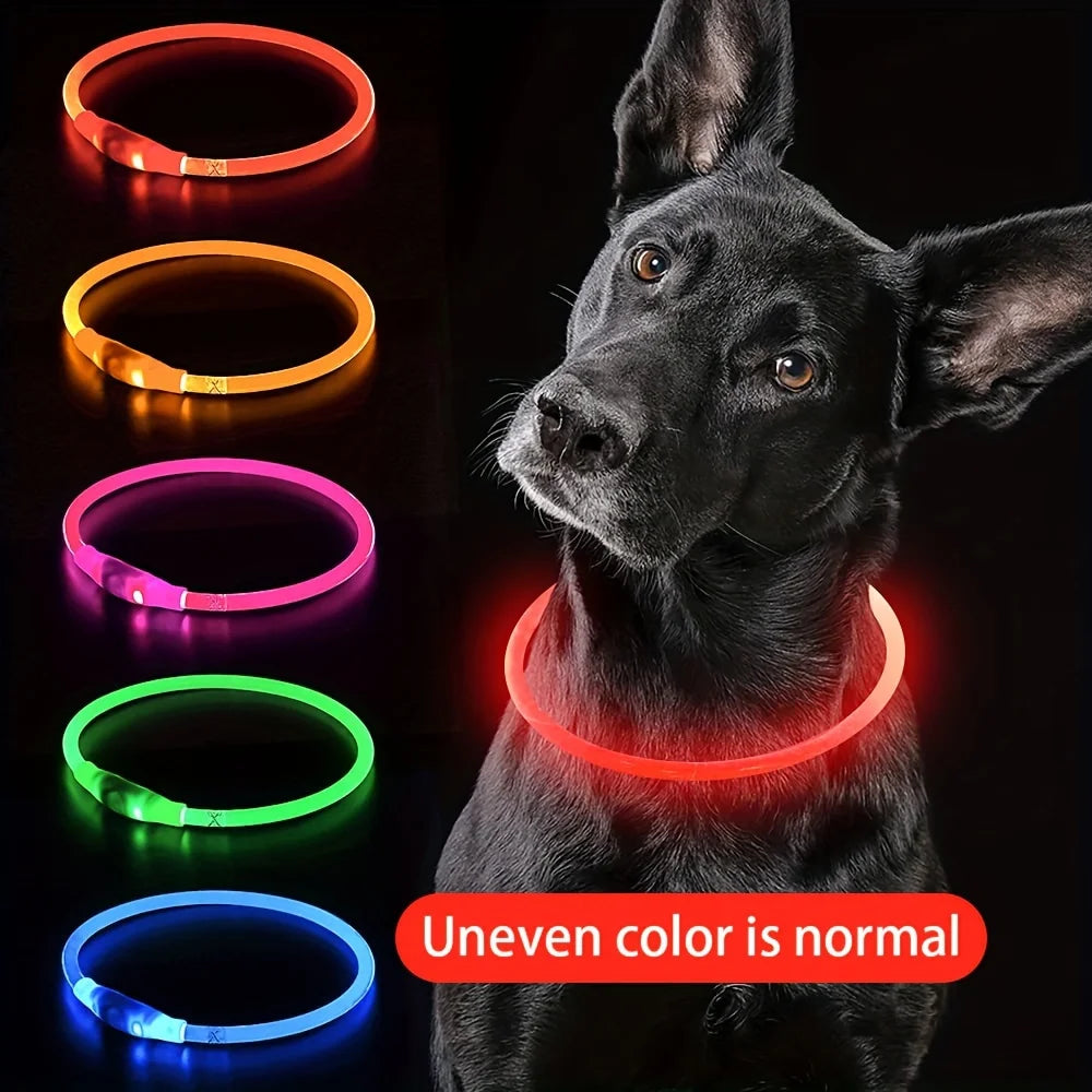 USB Rechargeable LED Light-Up Dog Collar