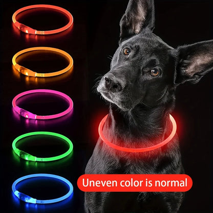 USB Rechargeable LED Light-Up Dog Collar