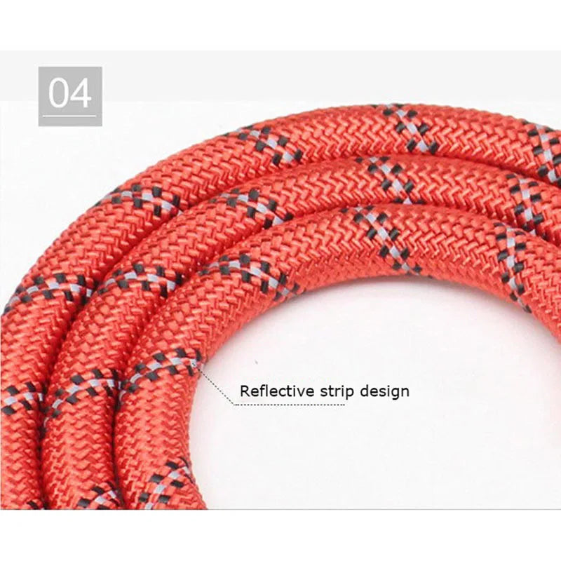Heavy-Duty Reflective Dog Leash with Padded Handle
