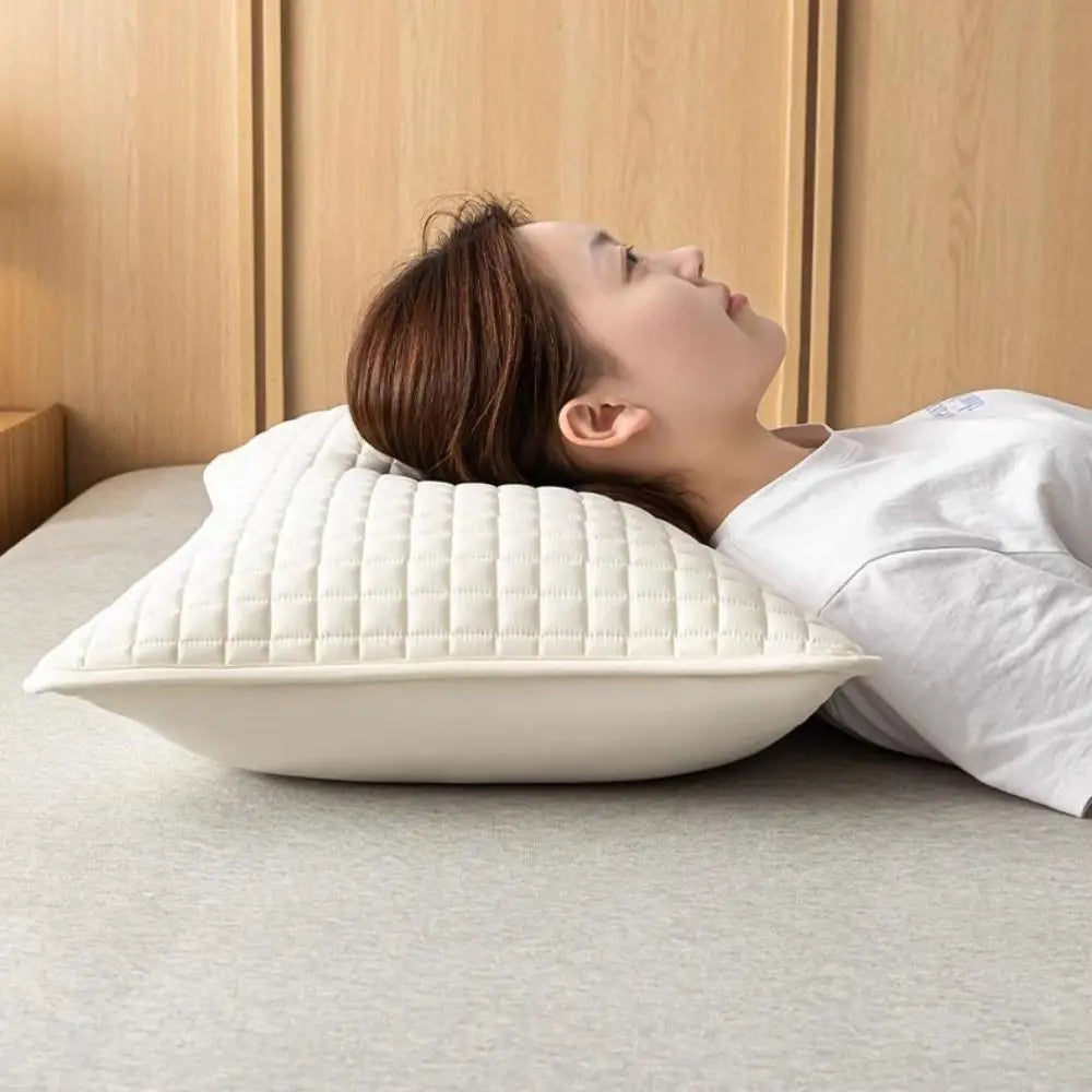 Pillow Protector Cover with Protective Lining