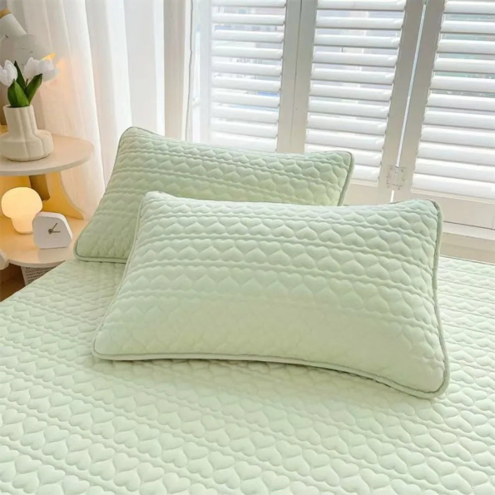 Pillow Protector Cover with Protective Lining