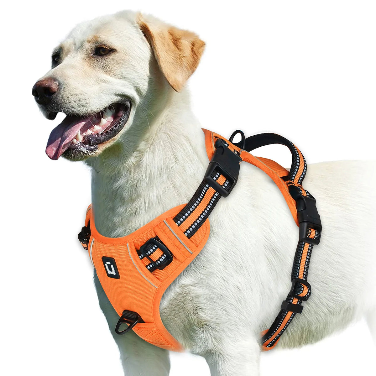 No-Pull Adjustable Dog Harness with Control Handle