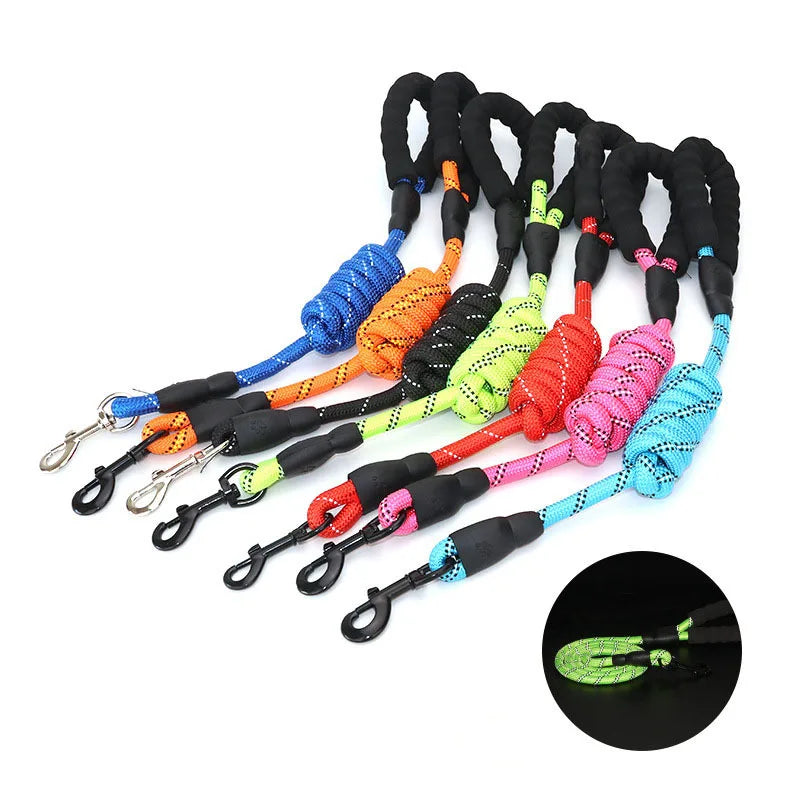 Heavy-Duty Reflective Dog Leash with Padded Handle