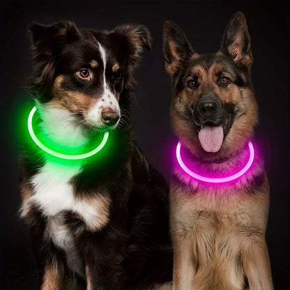 USB Rechargeable LED Light-Up Dog Collar