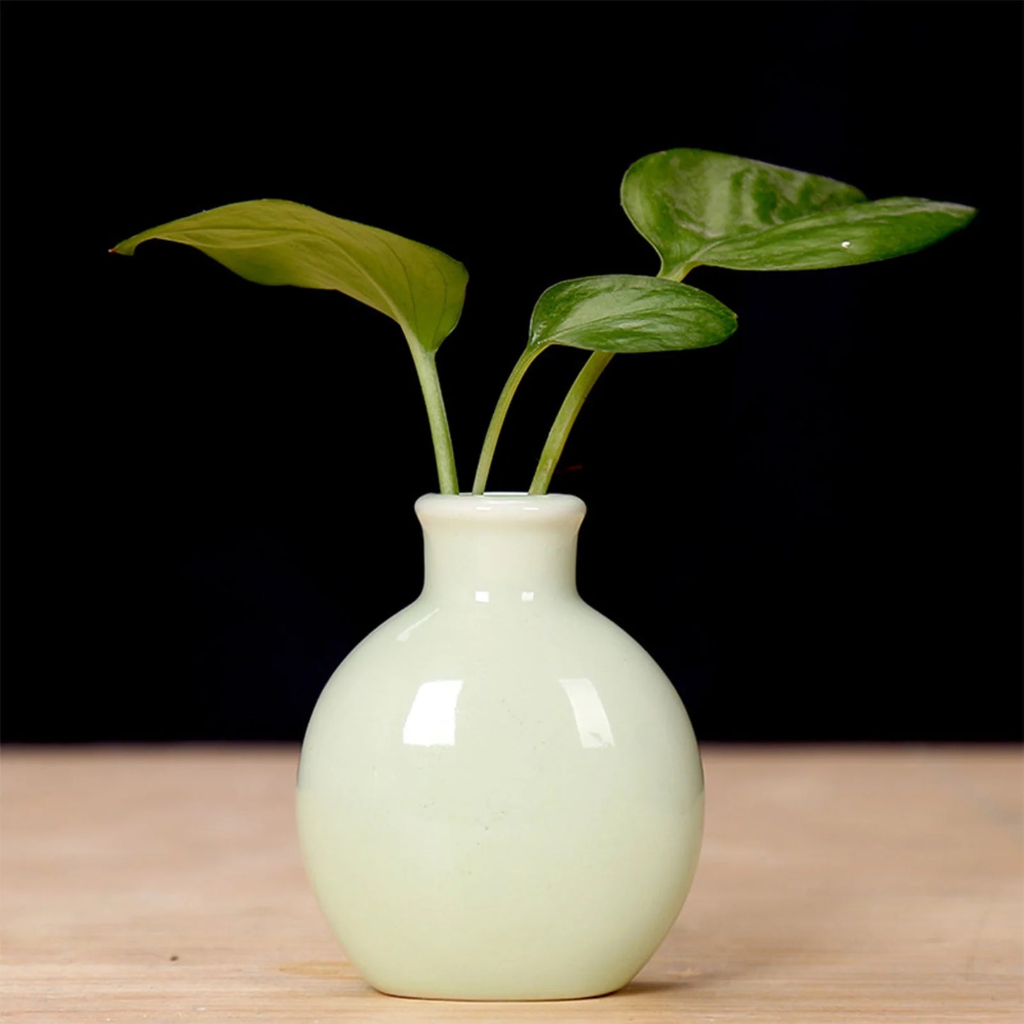Mini Ceramic Bud Vase — Small Decorative Flower Vase for Home, Desk & Bathroom Decor
