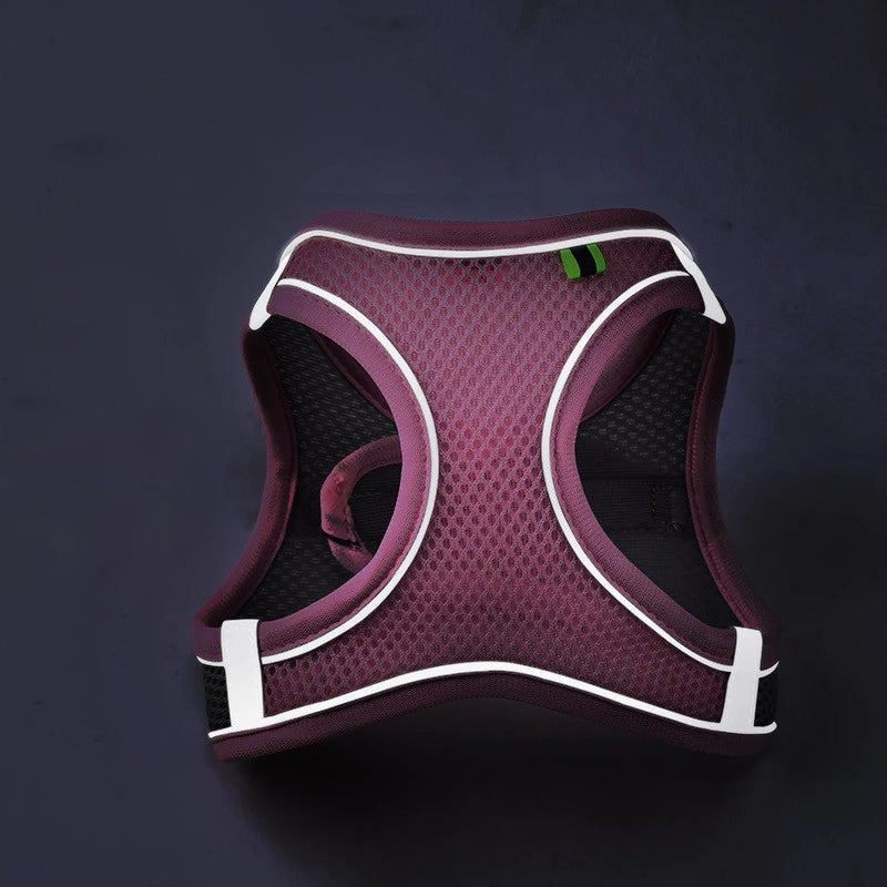 Reflective Breathable Harness Vest for Small & Medium Pets