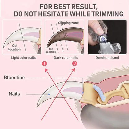 Professional Pet Nail Clippers with LED Light