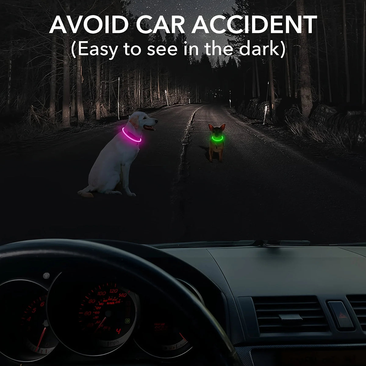 USB Rechargeable LED Light-Up Dog Collar