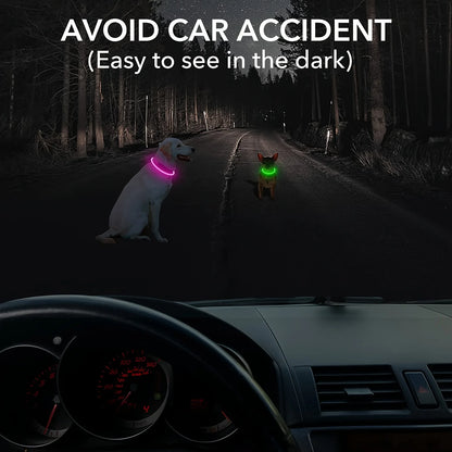 USB Rechargeable LED Light-Up Dog Collar