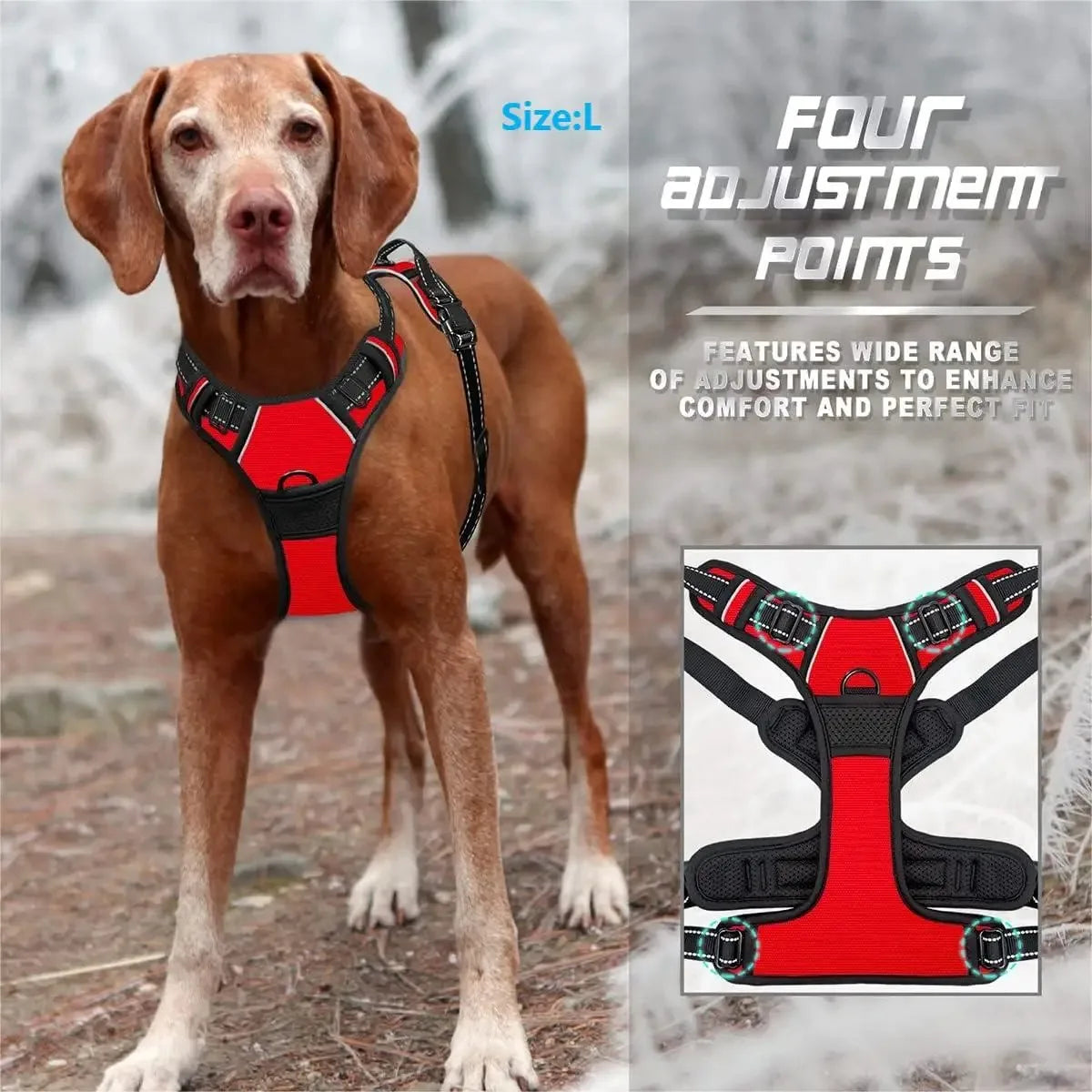 Dog Collar, Harness & Leash Set — Leather Puppy Accessories for Small, Medium & Large Dogs