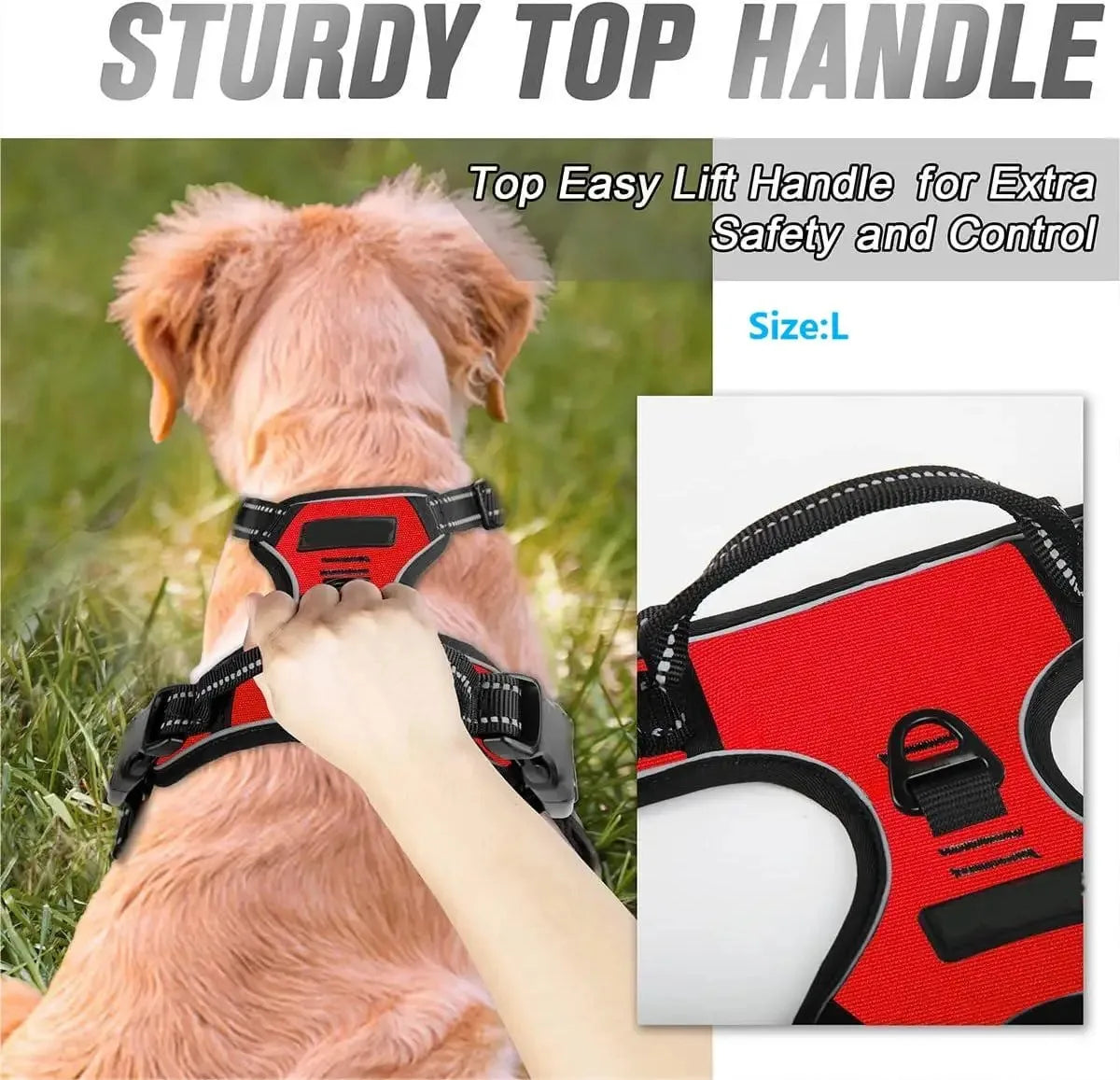 Dog Collar, Harness & Leash Set — Leather Puppy Accessories for Small, Medium & Large Dogs