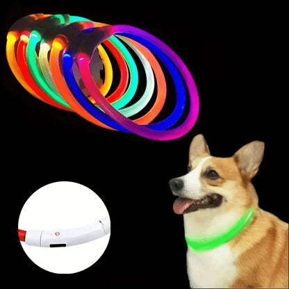 USB Rechargeable LED Light-Up Dog Collar