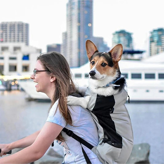 Sac à dos de transport respirant en nylon pour chiens – Sac de voyage extérieur pour chiens de petite et moyenne taille