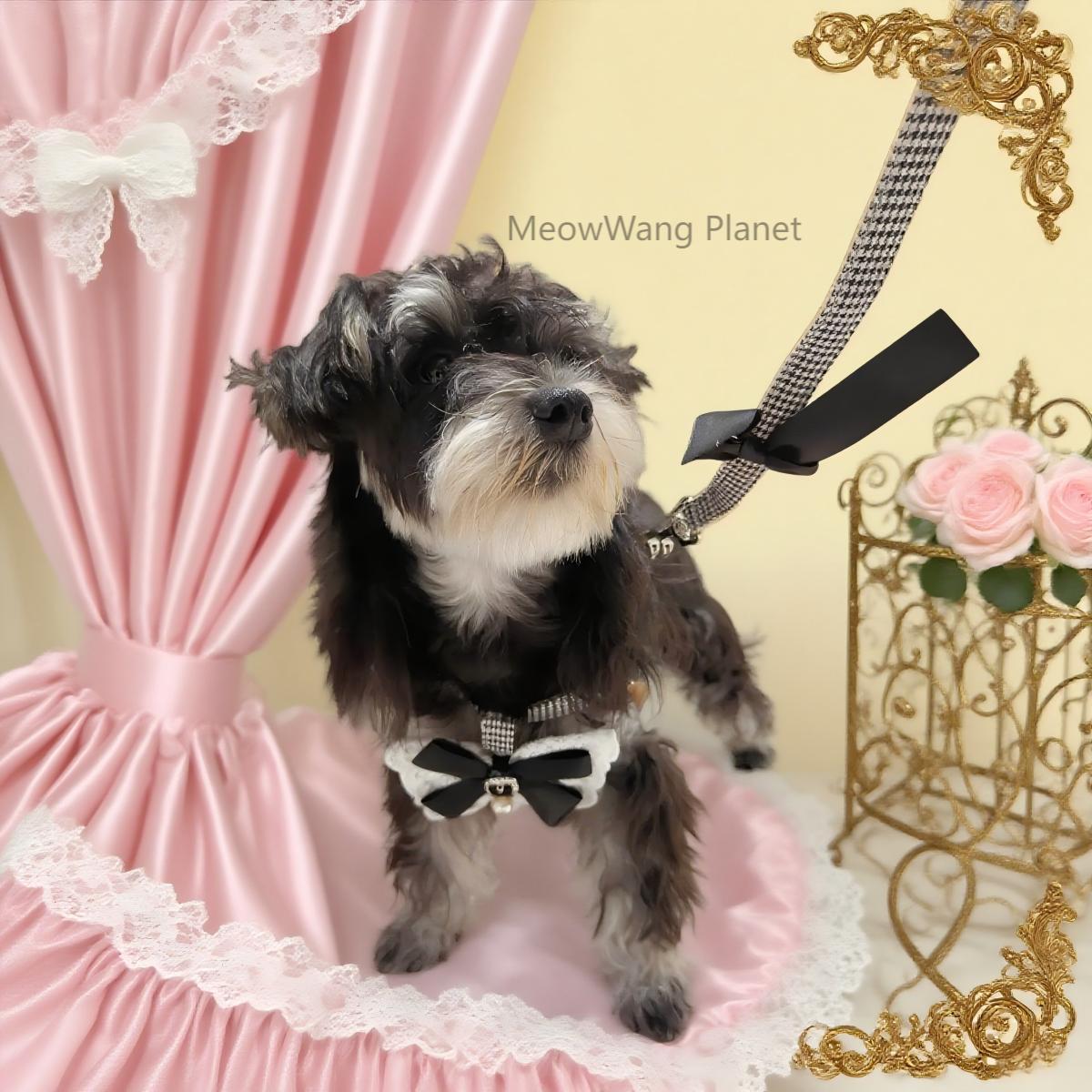 Dog Leash Cat Leash Luxury Lace Pet Harness Leash Set Elegant Inspired Adjustable Escape Proof Vest For Cats Small Dogs - DropOnline.co