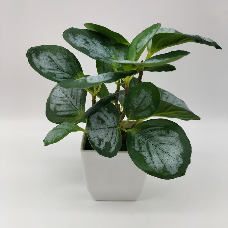 Living Room Home Decoration Ornaments Bonsai Decoration - DropOnline.co