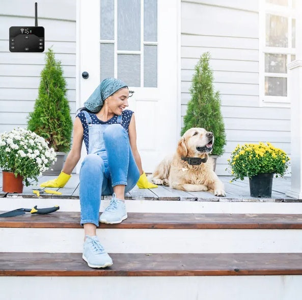 Wireless Electric Dog Fence Waterproof Pet Shock Boundary Containment System Electric Training Collar For Small Medium Large Dogs - DropOnline.co