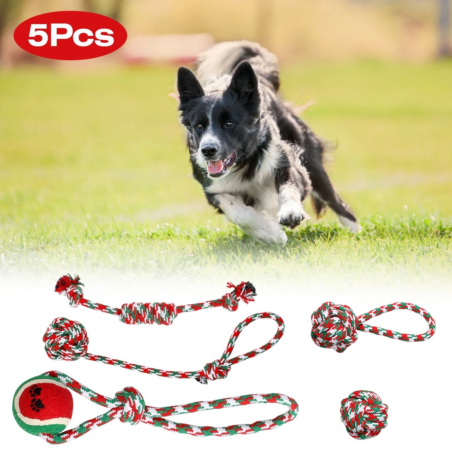 Set Of 5Pcs Christmas Dog Rope Chew Toys Dog Interactive Toys Set For Puppy Small Medium Aggressive Chewers Dogs Training Teething Playing - DropOnline.co