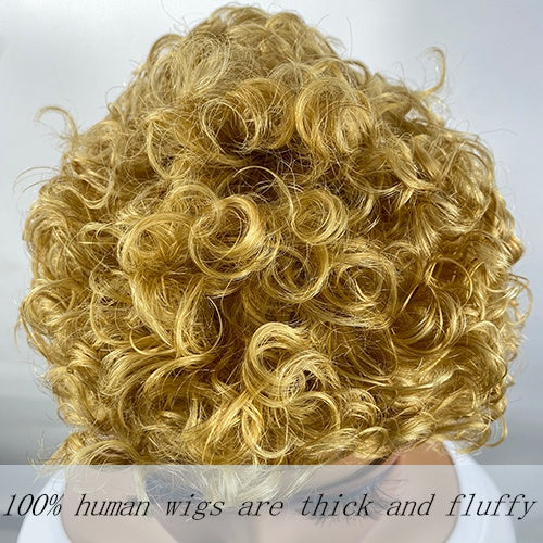 Curly Real Human Hair Wigs For Women, Curly Pixie Cut Wigs, Ultra-Short African Curls, Breathable Cap, Suitable For All Ethnicities. - DropOnline.co