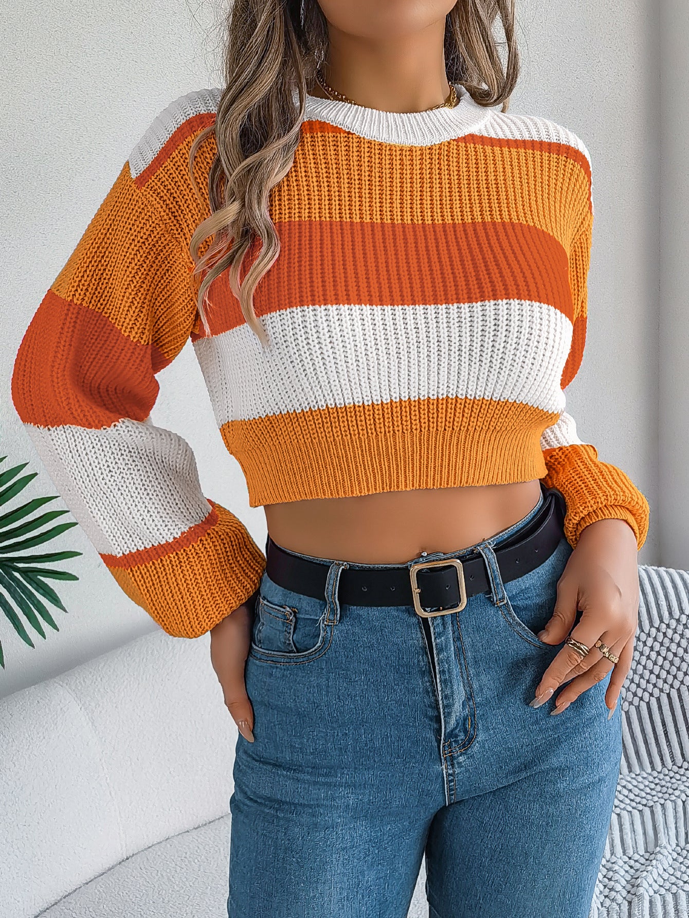 Casual Color-Block Lantern Sleeve Cropped Sweater - DropOnline.co