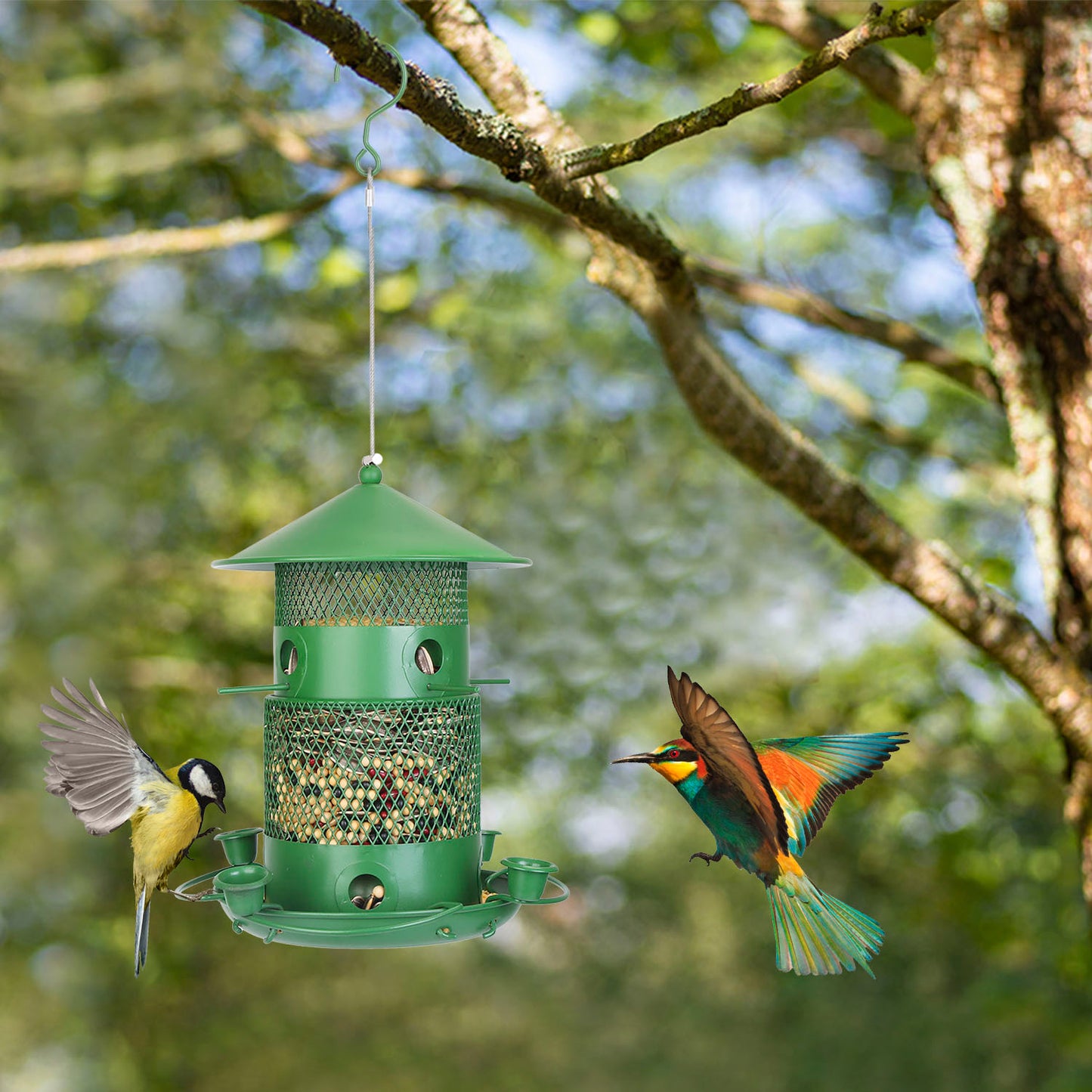 1Pc Wild Bird Feeder Squirrel-Proof Chew-Proof Metal Bird Seed Feeder Outdoor Hanging Bird Feeder With 360 Degree Circular Perches Water Cups For Yard Garden Patio - DropOnline.co