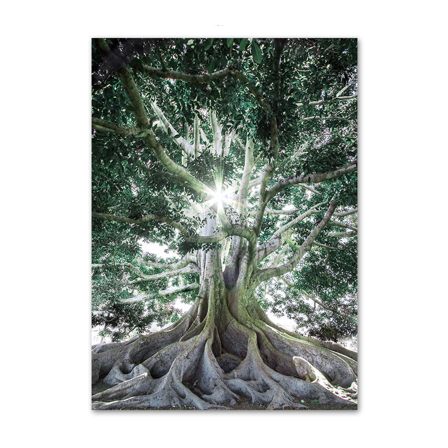 Square Round Embroidery Animal Mosaic Home Decor Diamond Art New Arrival - DropOnline.co