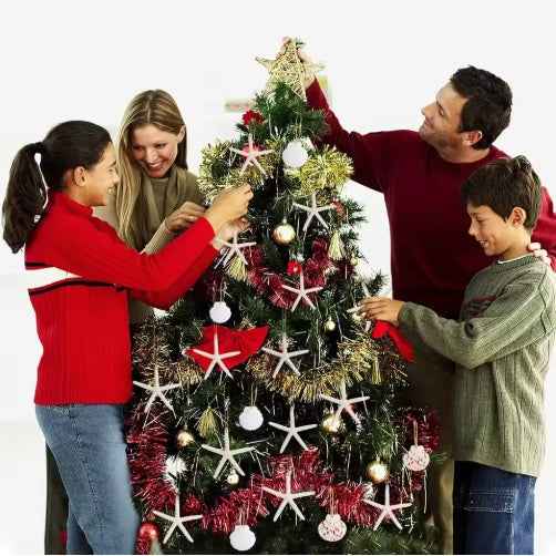 20 PCS Christmas Starfish Hanging Ornaments - 3-4'' Natural Starfish with Rope - DropOnline.co