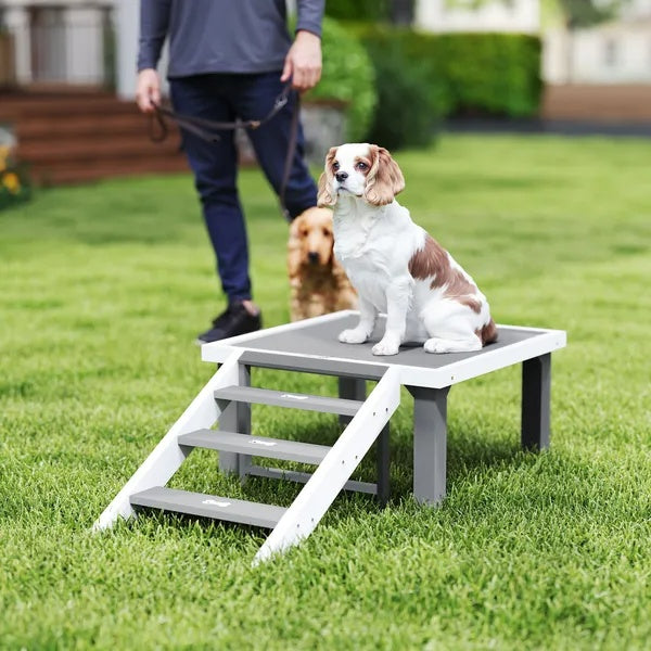 Wooden Dog Training Place Board, Dog Training Platform With Ladder, Pet Agility System For Indoor Outdoor - DropOnline.co