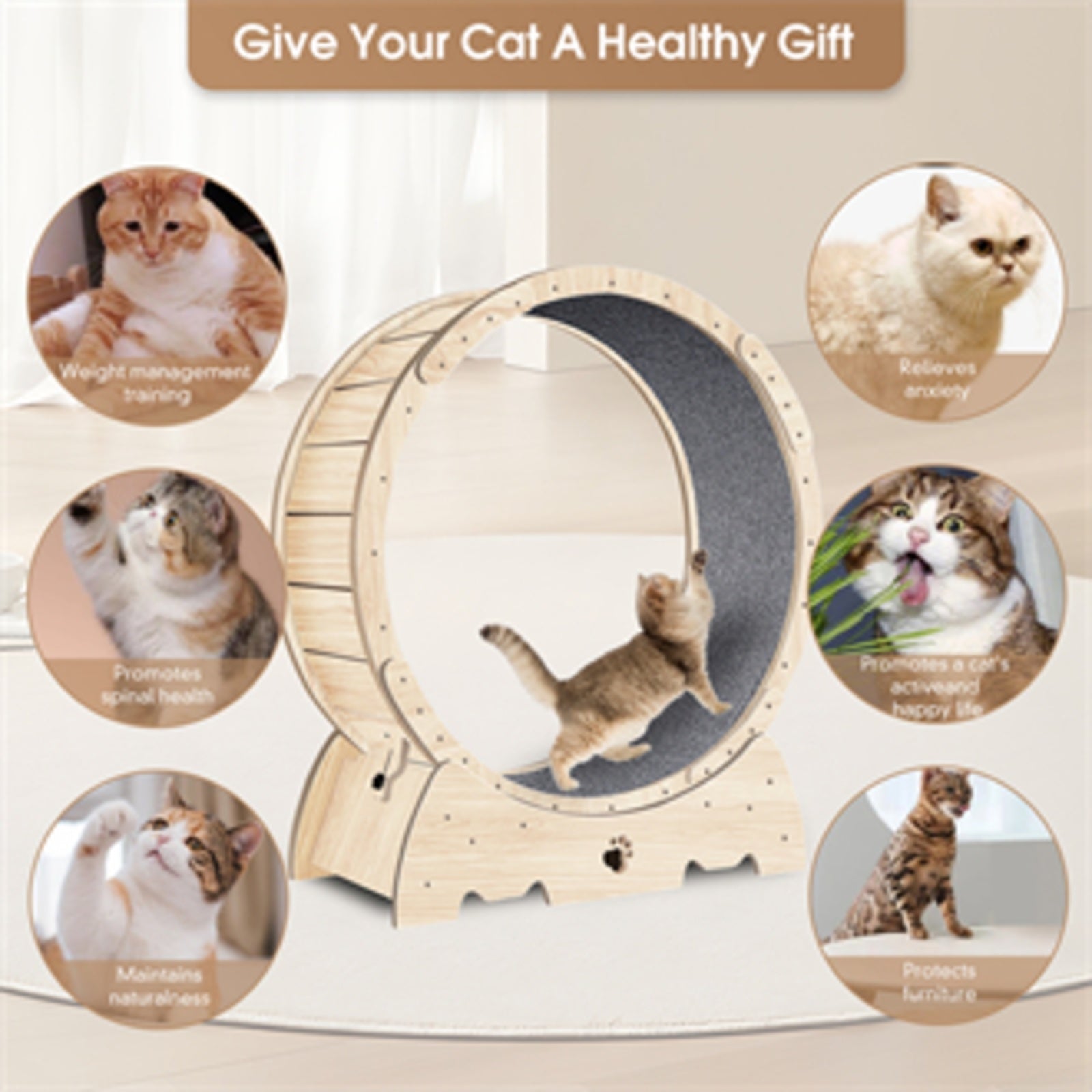 Cat Exercise Wheel For Indoor Cats, Running Wheel With Carpeted Runway - DropOnline.co