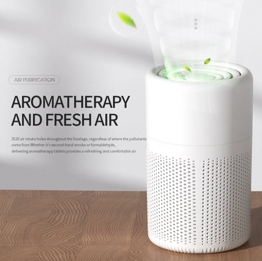 Air Purifier--Only Self Pickup - DropOnline.co