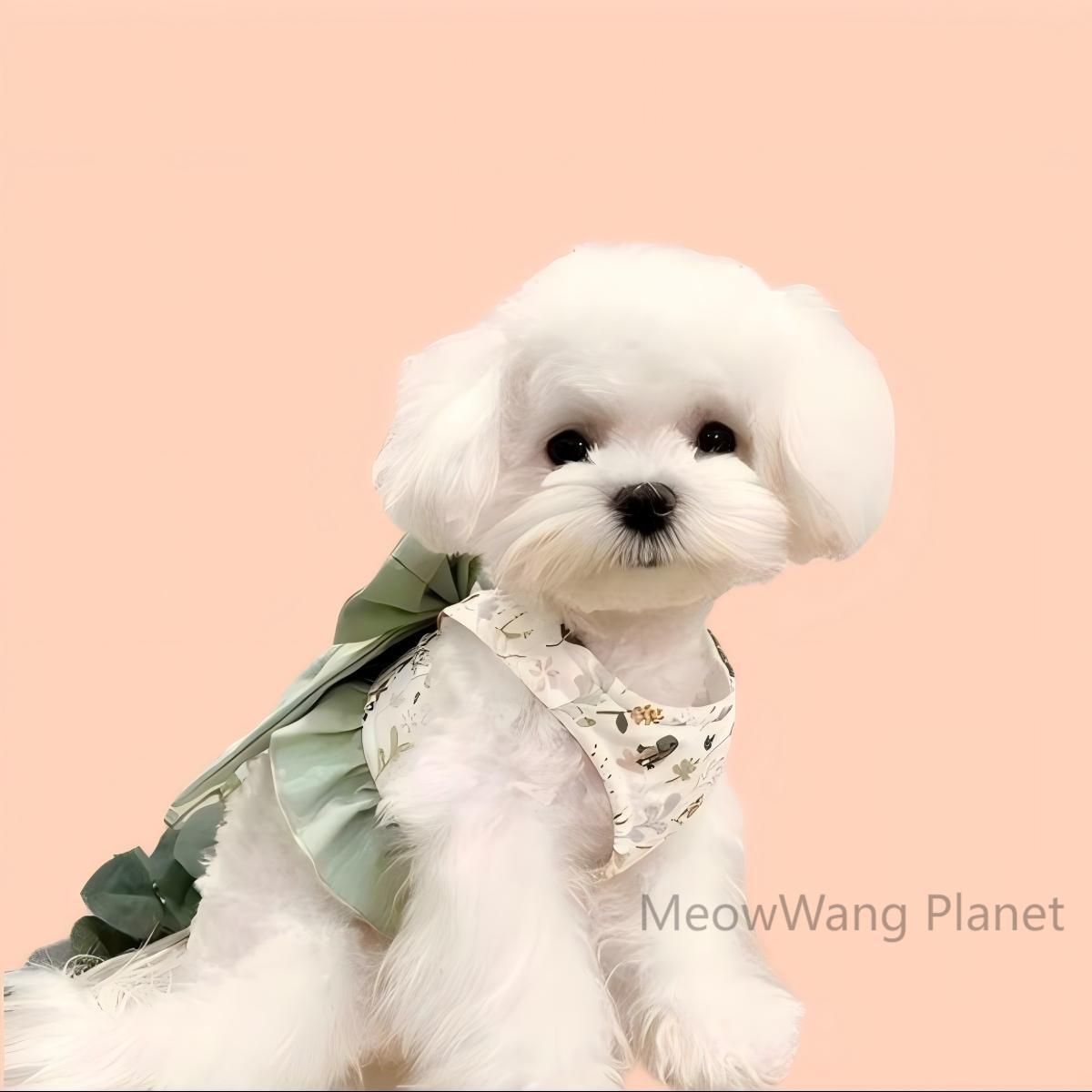 Pet Harness Leash Set Elegant Adjustable Half Vest Design For Cats Small Dogs Stylish Outdoor Walking Gear With Secure Escape Proof Fit Luxury Pet Gift For Cats Dogs - DropOnline.co