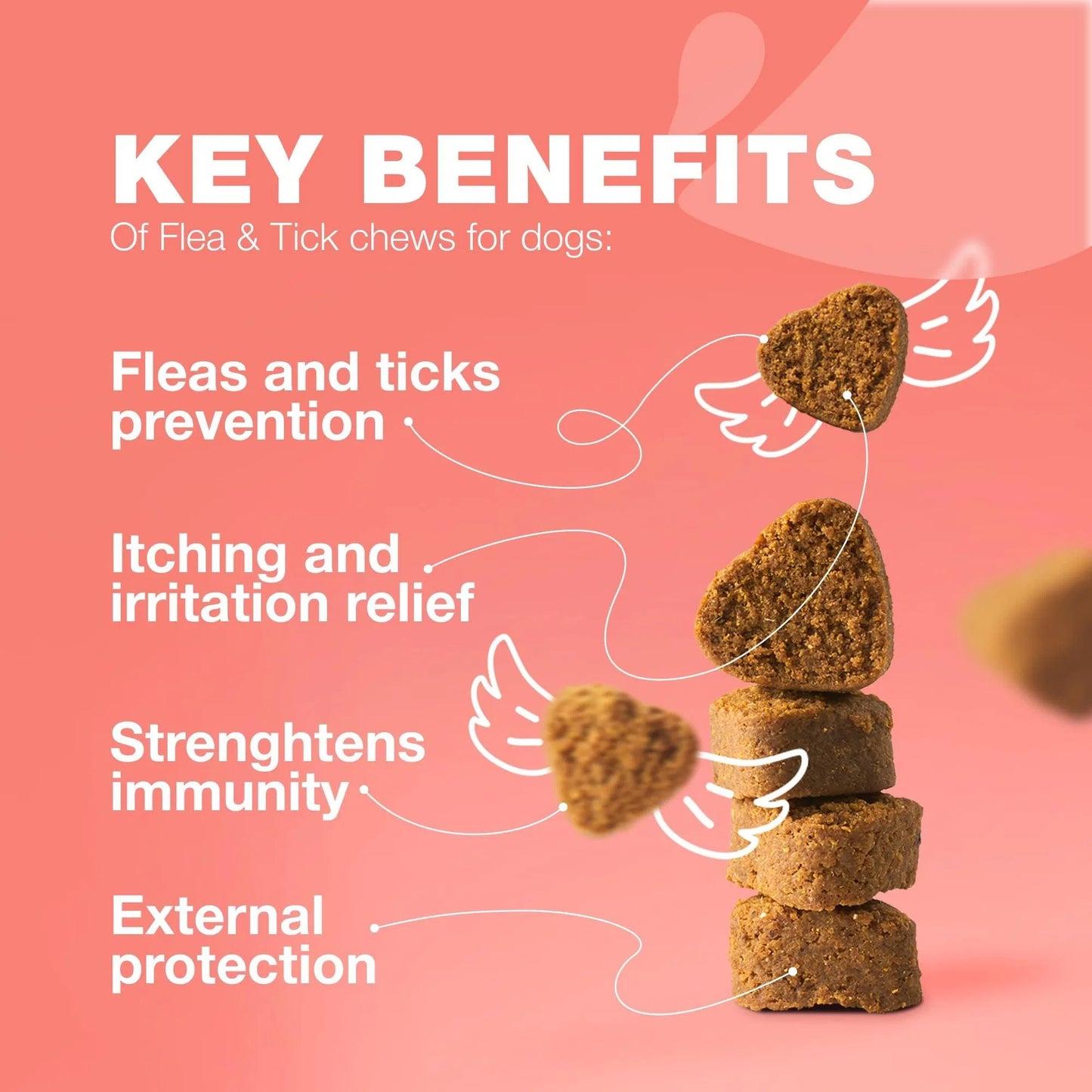 Dog Flea And Tick Treatment Chews FleaTick Prevention For Dogs Chewables Natural Dog Flea & Tick Control Soft Treats Immune Support Supplement - DropOnline.co