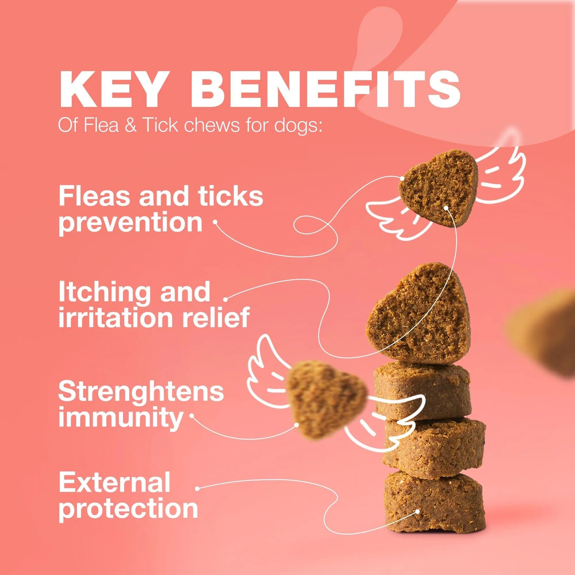 Dog Flea And Tick Treatment Chews FleaTick Prevention For Dogs Chewables Natural Dog Flea & Tick Control Soft Treats Immune Support Supplement - DropOnline.co