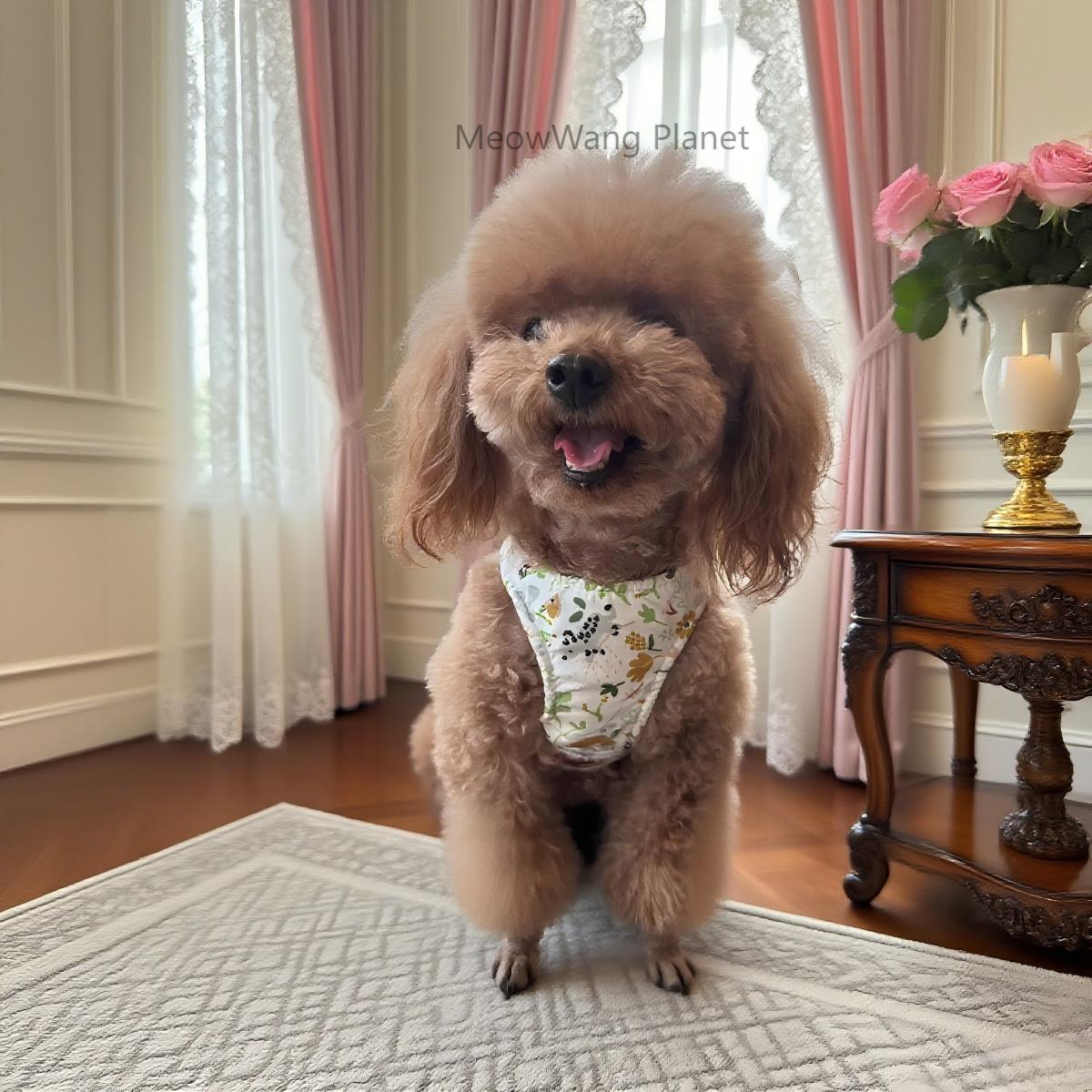 Pet Harness Leash Set Elegant Adjustable Half Vest Design For Cats Small Dogs Stylish Outdoor Walking Gear With Secure Escape Proof Fit Luxury Pet Gift For Cats Dogs - DropOnline.co