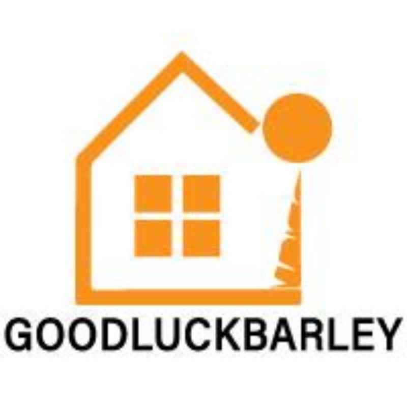 Women's Christmas Brooch Pin - Birthday Gift Daily Decoration Holiday Use - DropOnline.co